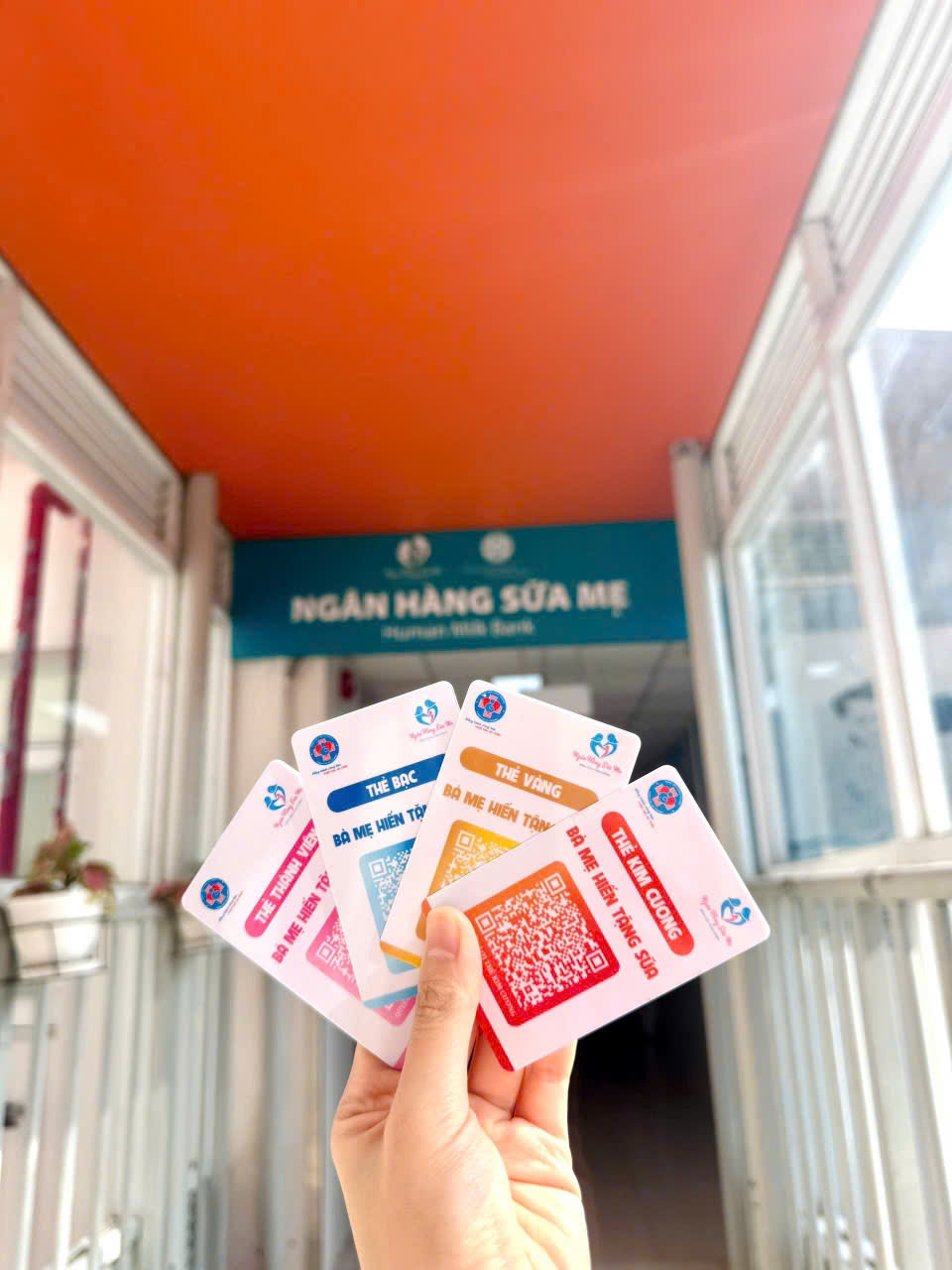Giá trị của sữa mẹ: Những thông tin cần biết từ chuyên gia