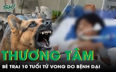 Ba Trẻ Em Cần Cấp Cứu Khẩn Cấp Do Viêm Ruột Thừa Vỡ