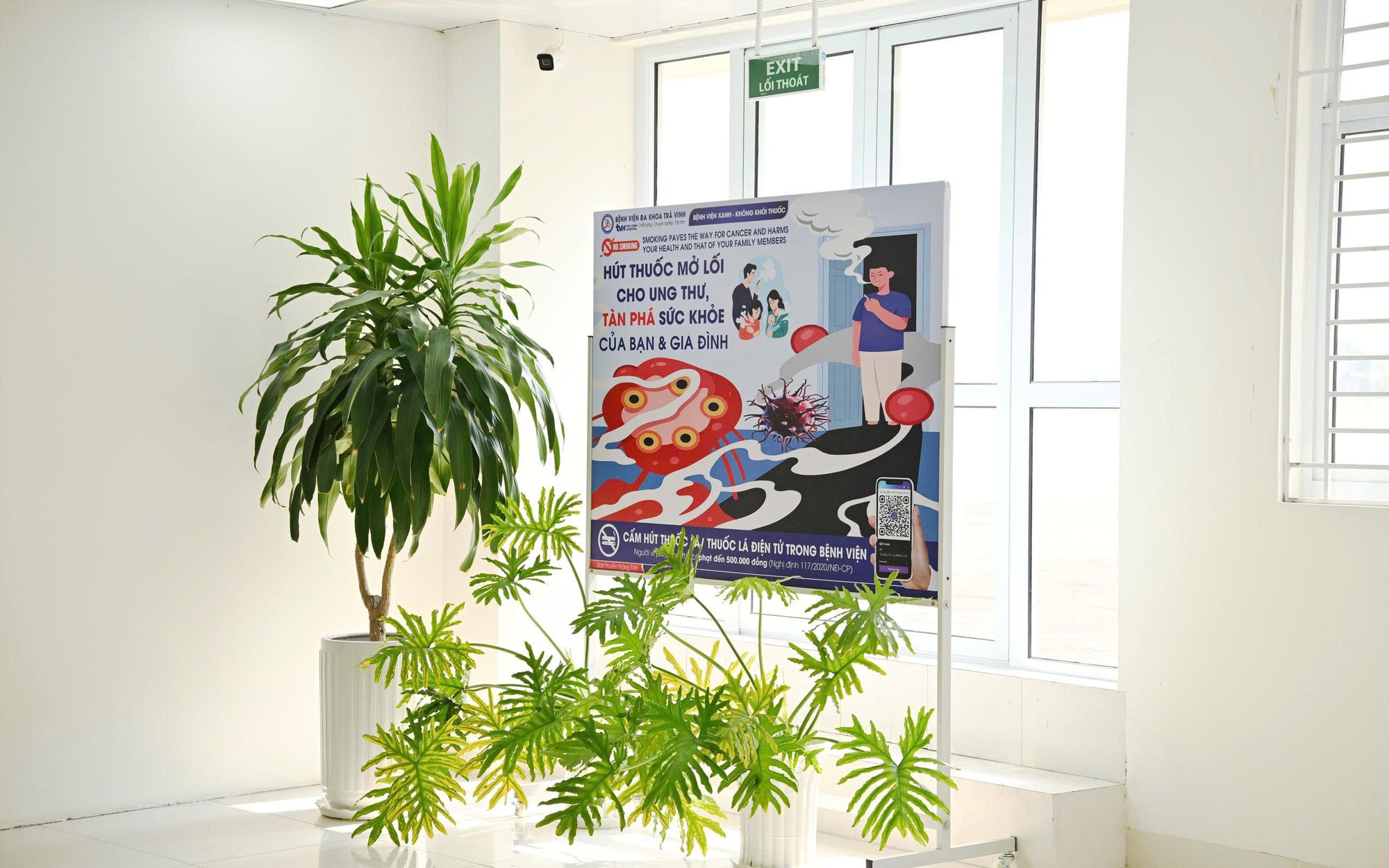 Mạng Lưới Hỗ Trợ Cai Nghiện Thuốc Lá Tại Việt Nam: Đánh Giá Hiệu Quả và Tiềm Năng