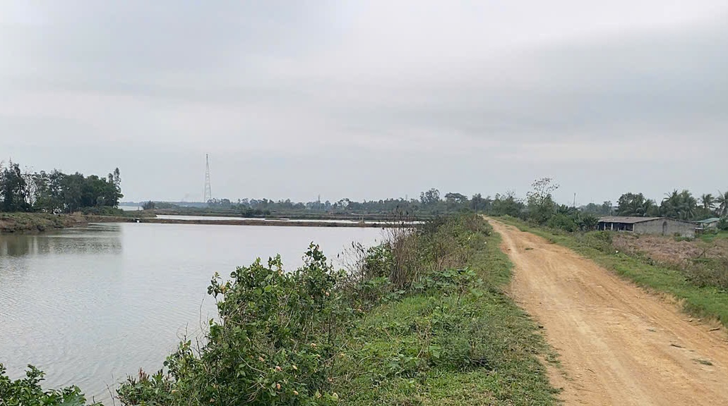 trong-diem-de-quang-tho-1787279686202730413387 Thanh Hóa đề xuất giải pháp bảo vệ các vị trí đê điều quan trọng - Ảnh 3.