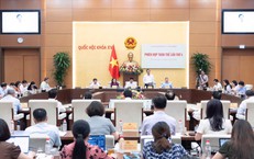 Bổ Sung Khái Niệm ‘An Toàn Tinh Thần’ Vào Luật An Toàn Lao Động