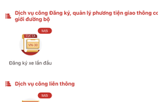 Bí Ẩn Vụ Giết Người Cụ Bà 91 Tuổi Tại Nhật Bản: Những Chi Tiết Mới Nhất