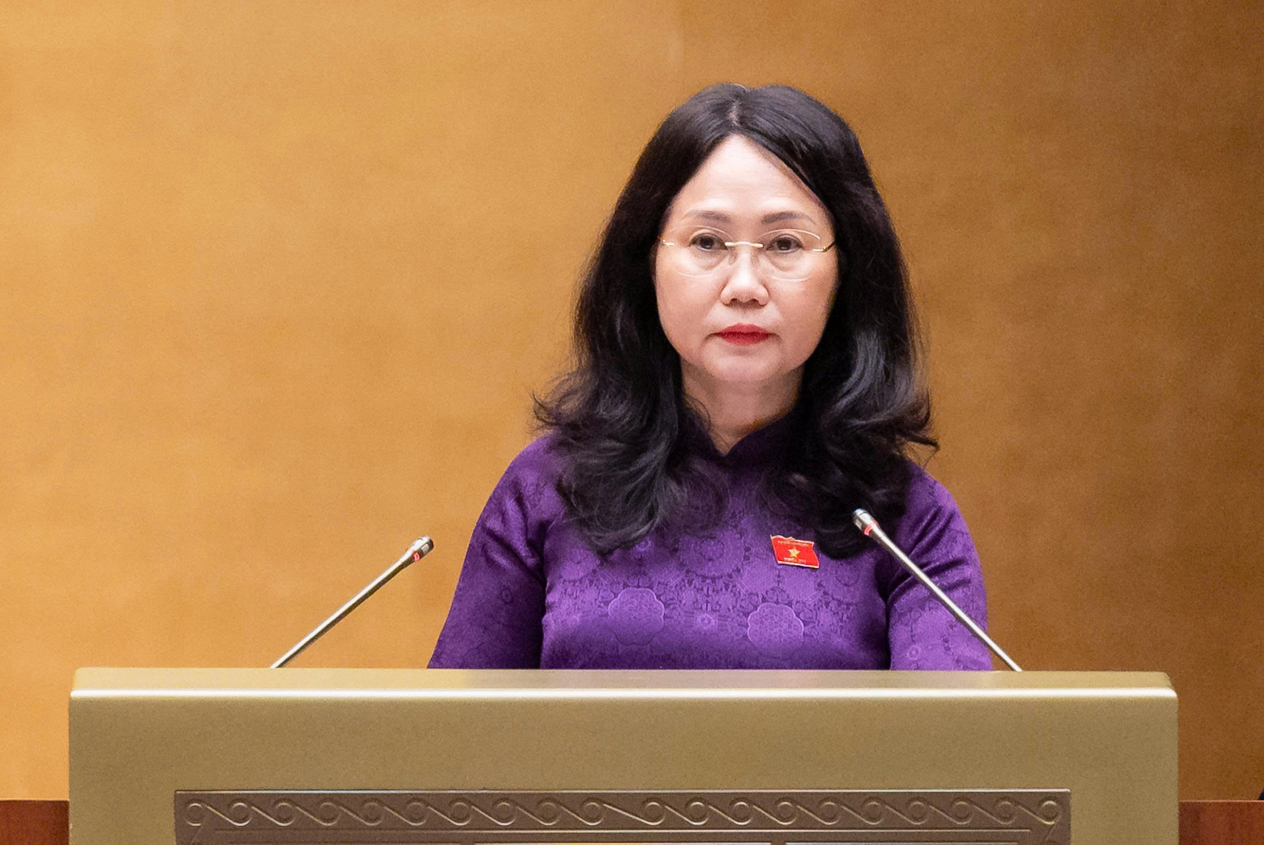 vhttdl-1787542241041524801059 Quốc hội thông qua Luật sửa đổi, bổ sung một số điều của Luật Xuất bản - Ảnh 2.
