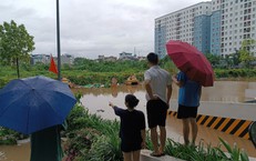 Hành Trình Trả Lại Hơn 200 Triệu Đồng: Lời Kêu Gọi Công Lý