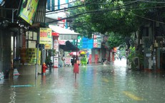 Đổi Mới Luật Văn Hóa và Thể Thao: Những Điểm Nổi Bật Từ Phiên Họp UBTVQH