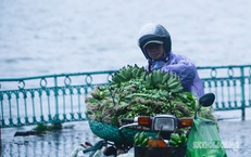 Ngân Hàng Cần Đáp Ứng Chỉ Đạo Giảm Lãi Suất Để Thúc Đẩy Kinh Tế