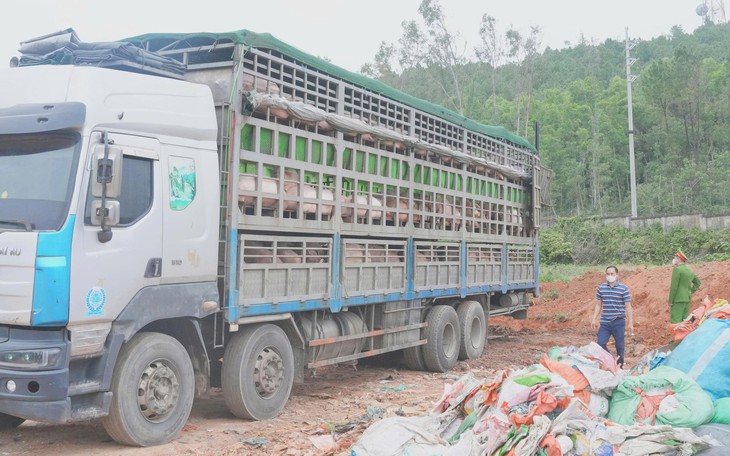 Hỗ trợ người dân bị thiệt hại do dịch tả lợn châu Phi- Ảnh 3.