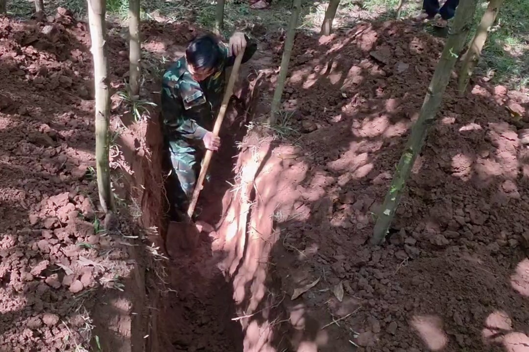 Phát hiện, quy tập hài cốt liệt sĩ tại khu vực biên giới- Ảnh 1.