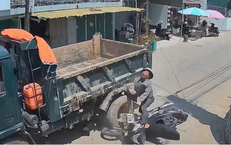 Chủ nhà phản hồi sau sự cố cưa cây gây chết người: trách nhiệm, an toàn và bước tiếp theo