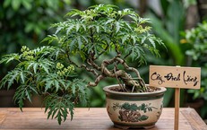 5 chuỗi giãn cơ thiết thực giúp giảm cảm giác cứng khớp và cải thiện vận động