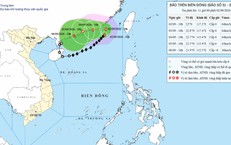 Kỷ Niệm 81 Năm Quốc Khánh Việt Nam: Điện Chúc Mừng Từ Các Quốc Gia