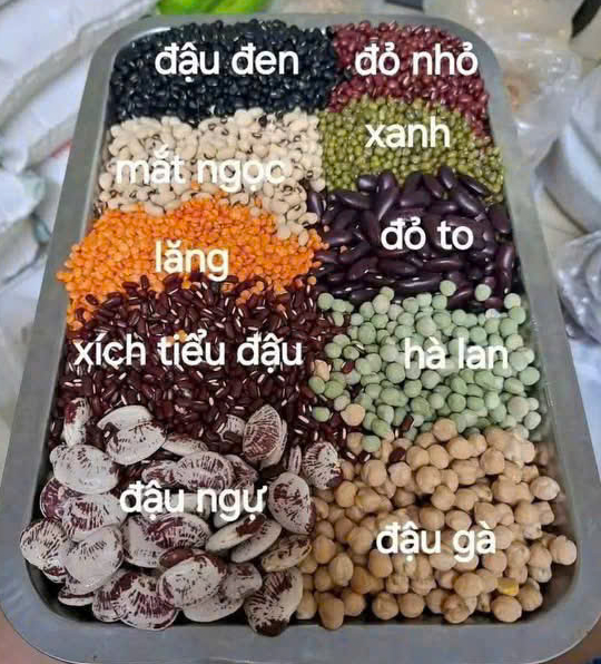 Ăn đậu mỗi ngày: lợi ích sức khỏe, những thay đổi trong cơ thể và cách dùng hợp lý
