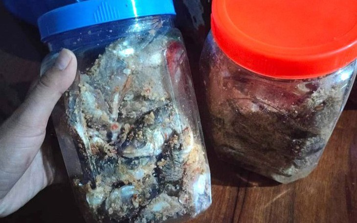 Cảnh báo nguy hiểm ngộ độc cucurbitacin từ các loại rau quả họ bầu bí  - Ảnh 3.