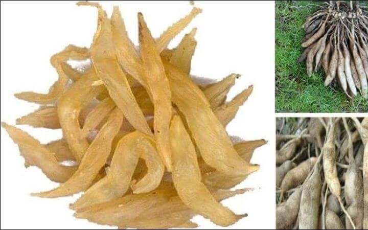 5 món cháo dưỡng phế thích hợp những ngày đầu thu  - Ảnh 2.